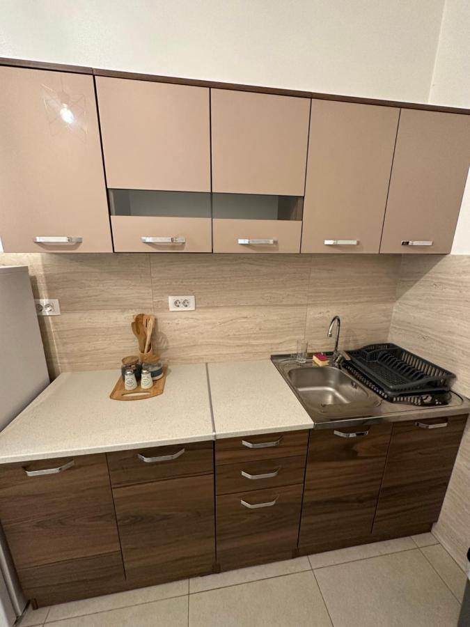 Irina Centre Apartment Podgorica Extérieur photo